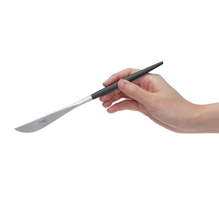 クチポール（Cutipol） GOA/ゴア ブラック ステーキナイフ GO32 [ネコポス対応可(18点まで)]