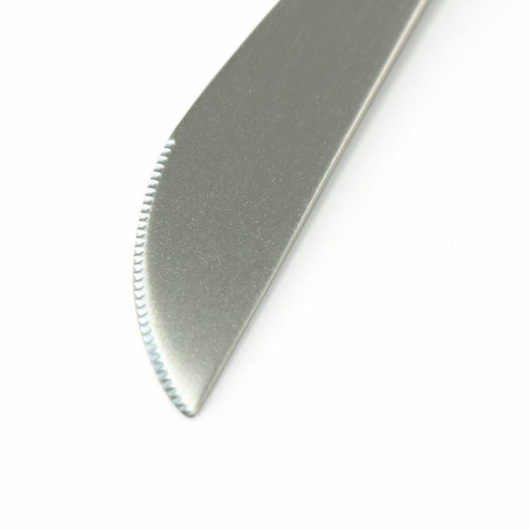 クチポール（Cutipol） GOA/ゴア ピンク ディナーナイフ/テーブルナイフ GO03PK [ネコポス対応可(18点まで)]