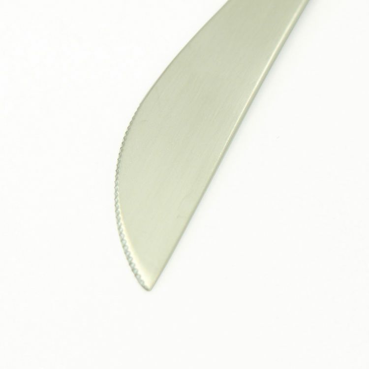 クチポール（Cutipol） GOA/ゴア ブルー ディナーナイフ/テーブルナイフ GO03BL [ネコポス対応可(18点まで)]