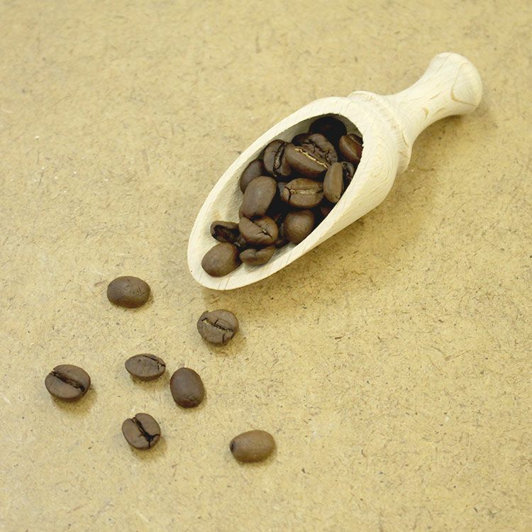 レデッカー（REDECKER） 木製 コーヒースクープ 9cm