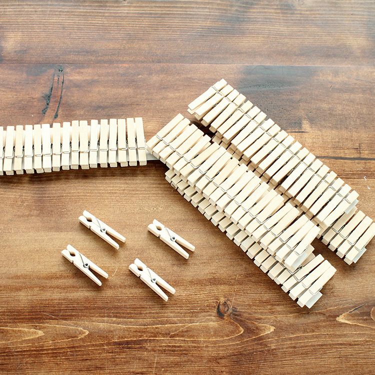 レデッカー（REDECKER） 洗濯バサミ 100個セット