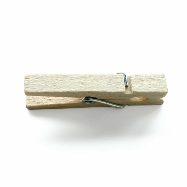 レデッカー（REDECKER） 洗濯バサミ 100個セット