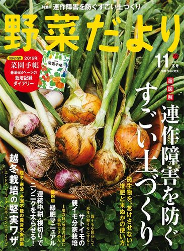 「野菜だより 2018年11 月号」に、プレゼント提供をいたしました