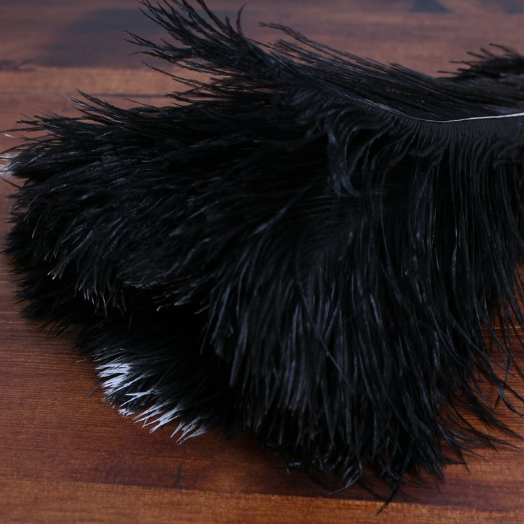 レデッカー（REDECKER） オーストリッチ フェザーダスター 50cm