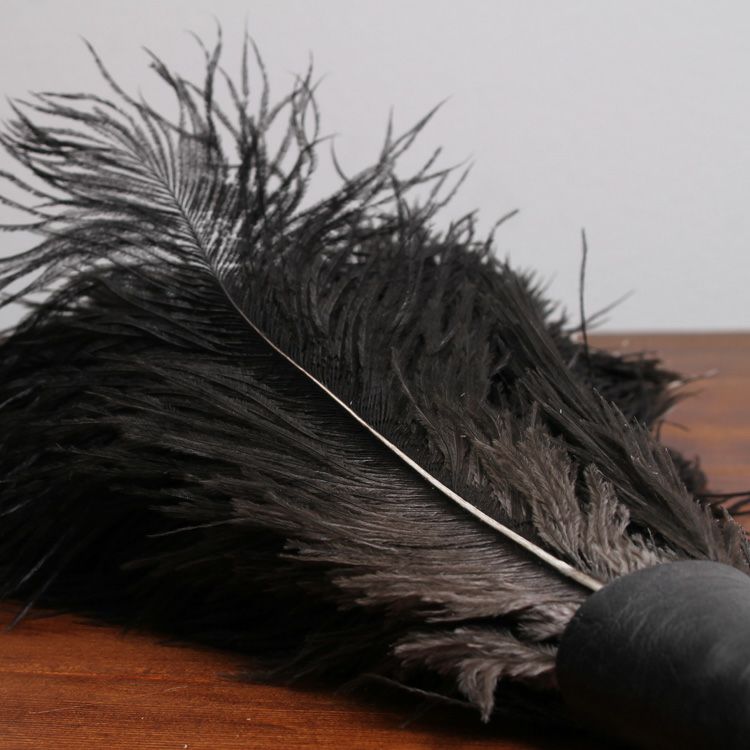 レデッカー（REDECKER） オーストリッチ フェザーダスター 50cm