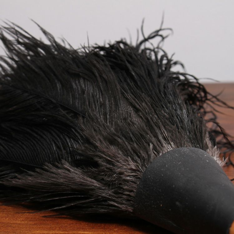 レデッカー（REDECKER） オーストリッチ フェザーダスター 35cm