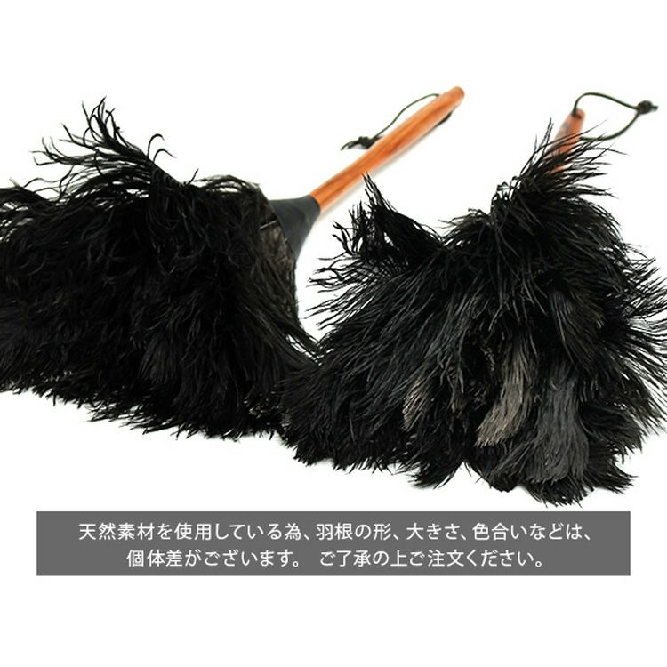 レデッカー（REDECKER） オーストリッチ フェザーダスター 35cm