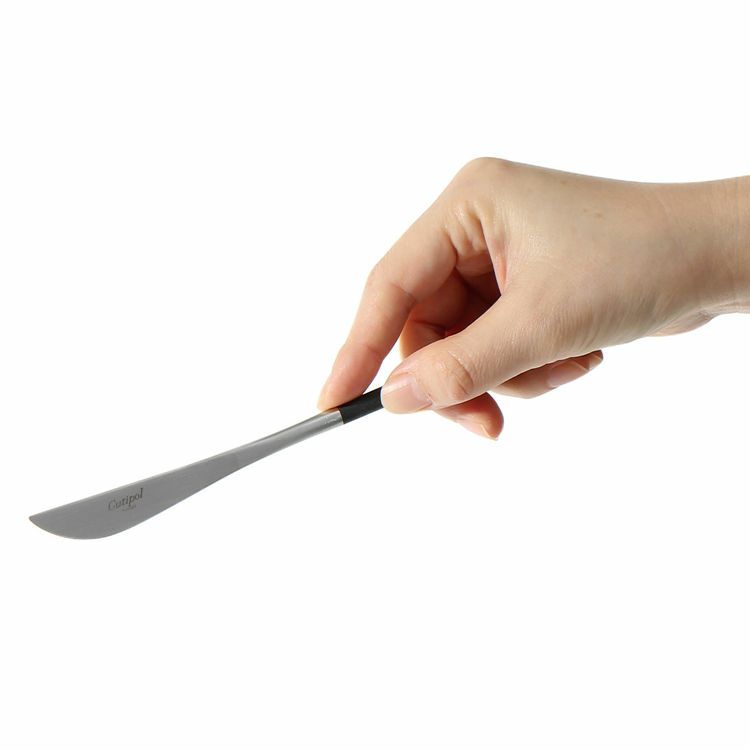 クチポール（Cutipol） ノール/NOOR デザートナイフ [ネコポス対応可(18点まで)]