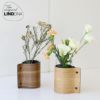 リンド ディーエヌーエー（LIND DNA） ウッドベース H15cm
