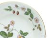 ウェッジウッド（WEDGWOOD） ワイルドストロベリー/Wild Strawberry フルーツソーサー 13cm