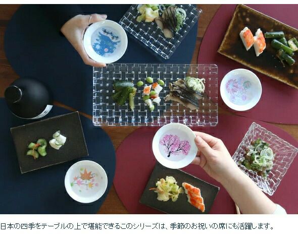 丸モ高木陶器 ホワイト 冷感 平盃 4点セット