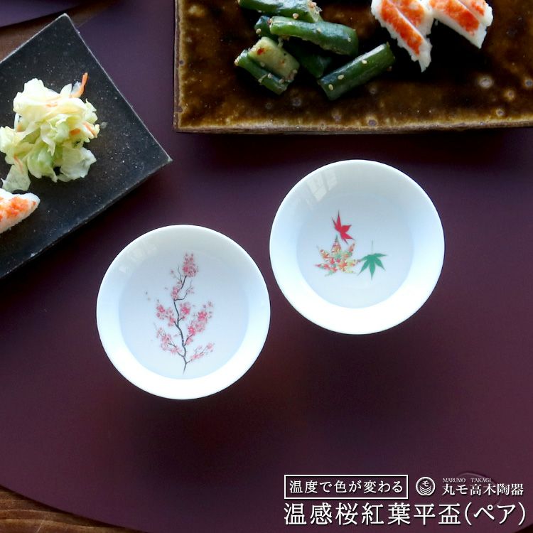 丸モ高木陶器 ホワイト 温感 平盃 ペア