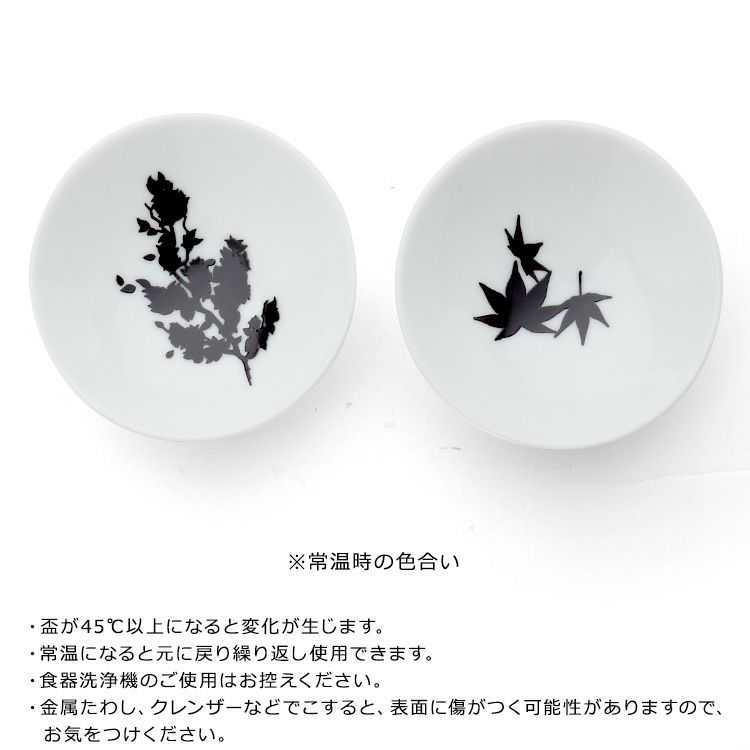 丸モ高木陶器 ホワイト 温感 平盃 ペア