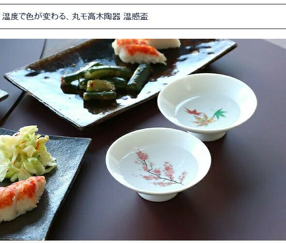 丸モ高木陶器 ホワイト 温感 平盃 ペア