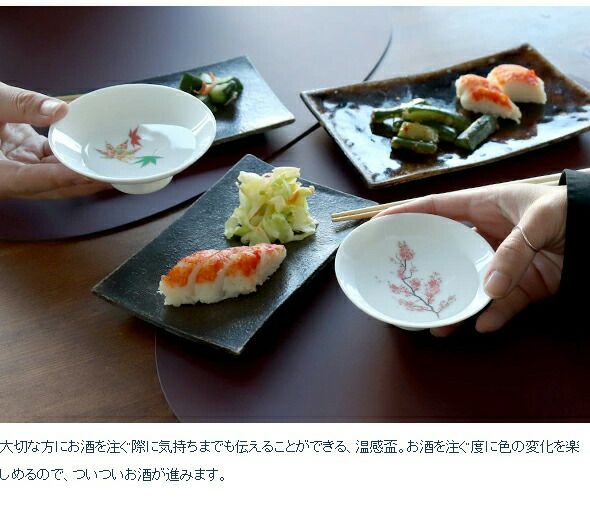 丸モ高木陶器 ホワイト 温感 平盃 ペア