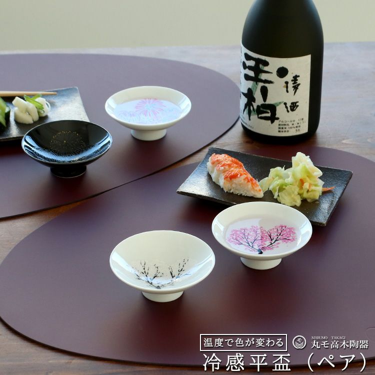 丸モ高木陶器 冷感 平盃 ペア