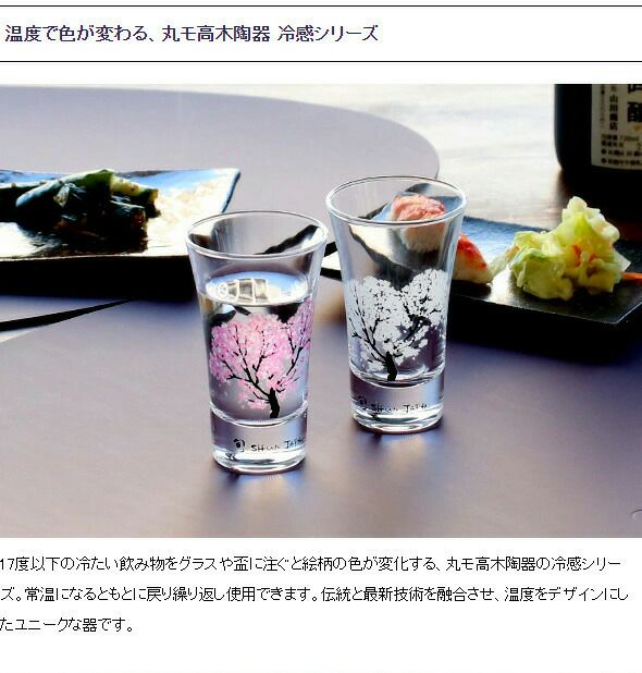 丸モ高木陶器 冷感桜 煎茶 グラス