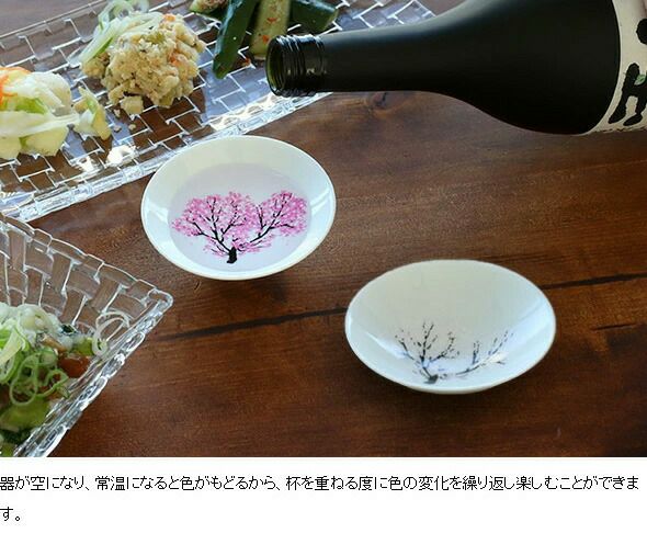 丸モ高木陶器 冷感桜 煎茶 グラス