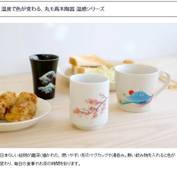 丸モ高木陶器 温感カップ（中）
