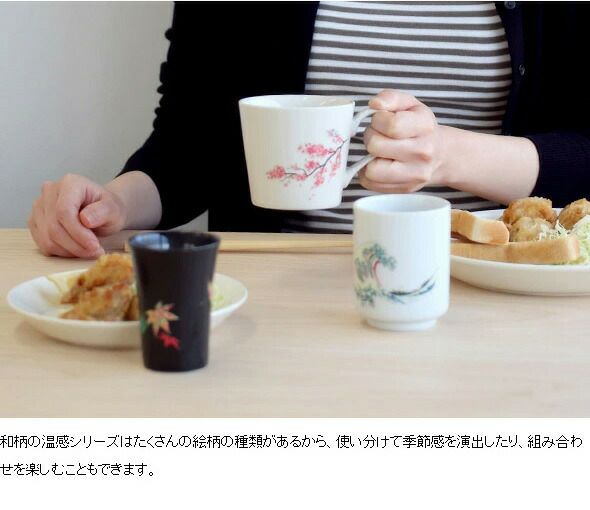 丸モ高木陶器 温感マグカップ