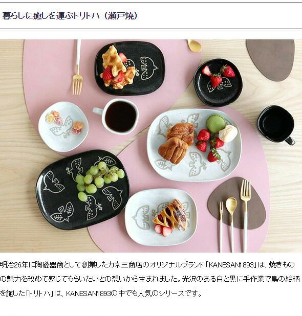 カネサン1893（KANESAN1893） トリトハ ナデ角大皿