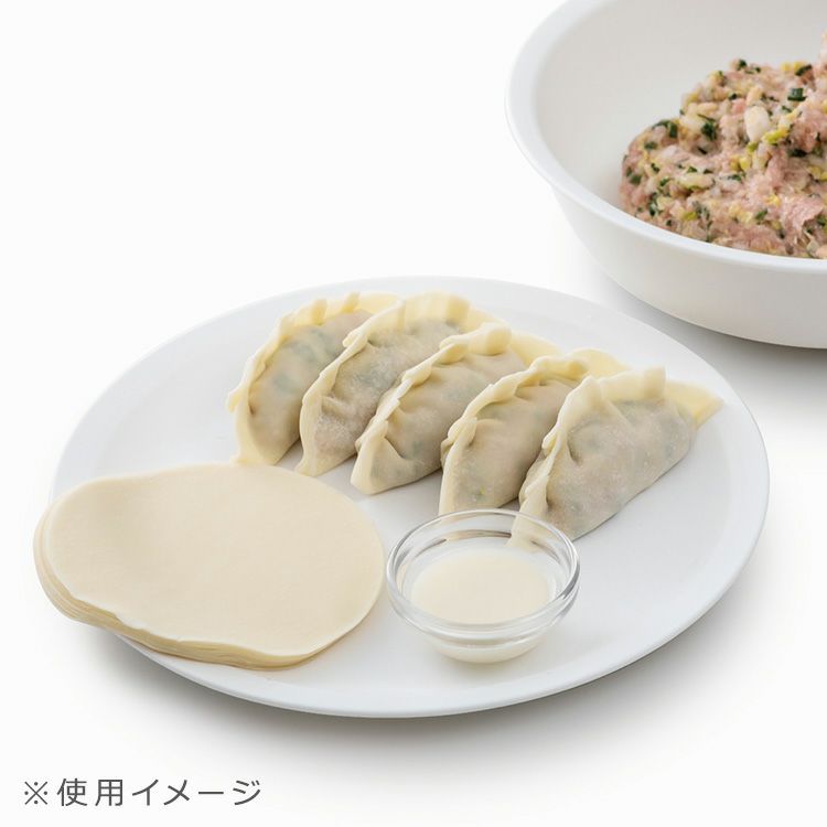 ライクイット（like-it） 「米とぎにも使えるザルとボウル」と合わせて使える 樹脂製プレート