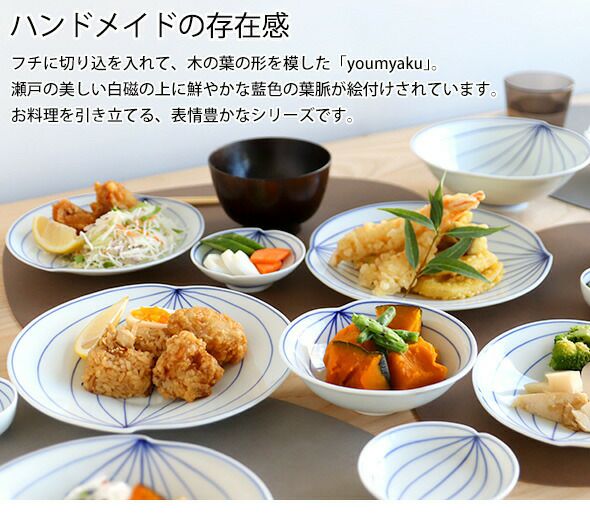 眞窯 プレート 21cm